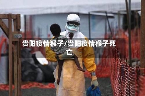 贵阳疫情猴子/贵阳疫情猴子死亡-第3张图片