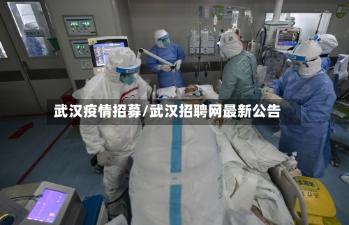 武汉疫情招募/武汉招聘网最新公告-第3张图片