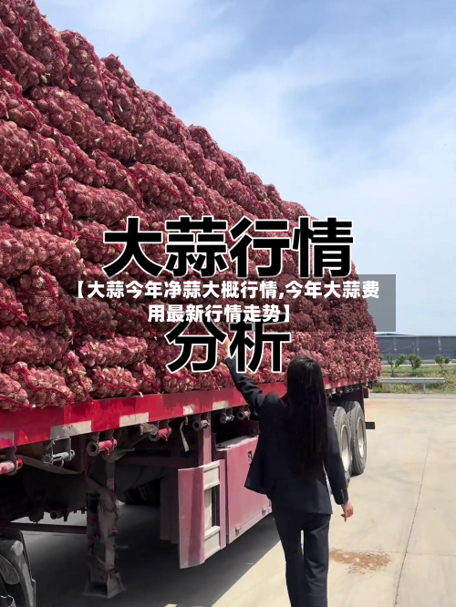 【大蒜今年净蒜大概行情,今年大蒜费用最新行情走势】-第2张图片