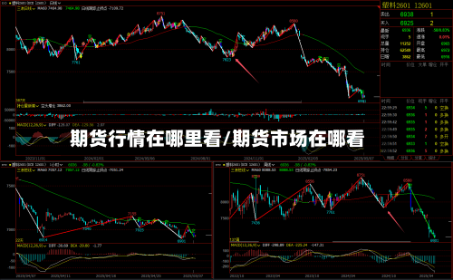 期货行情在哪里看/期货市场在哪看-第2张图片