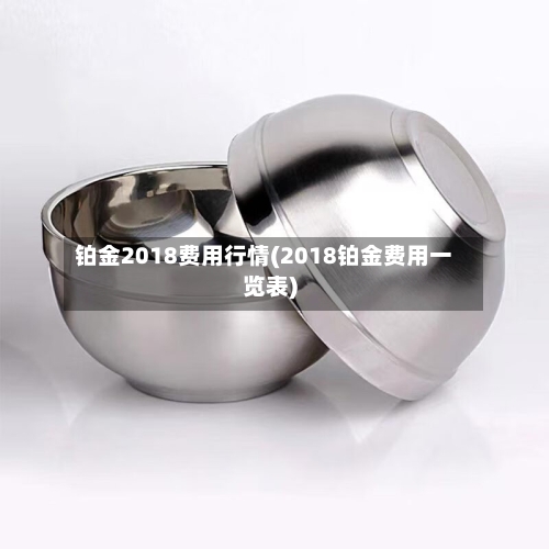 铂金2018费用行情(2018铂金费用一览表)