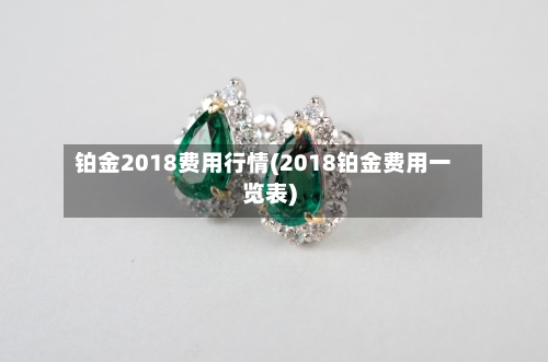 铂金2018费用行情(2018铂金费用一览表)-第2张图片