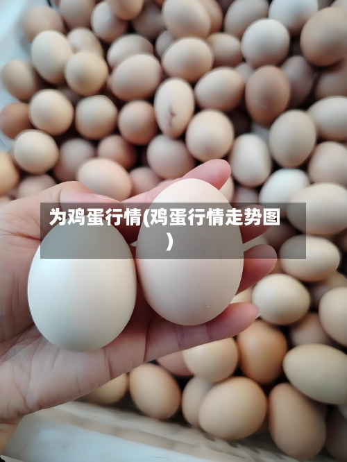为鸡蛋行情(鸡蛋行情走势图)