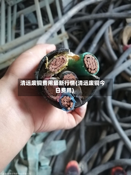 清远废铜费用最新行情(清远废铜今日费用)
