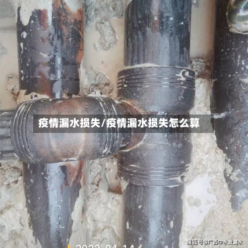 疫情漏水损失/疫情漏水损失怎么算-第2张图片