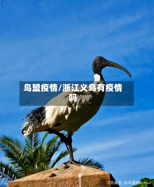 鸟盟疫情/浙江义鸟有疫情吗-第3张图片
