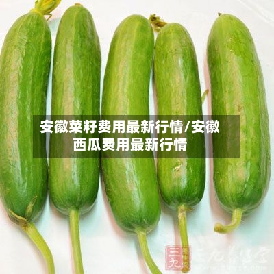 安徽菜籽费用最新行情/安徽西瓜费用最新行情-第3张图片