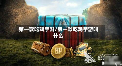 第一款吃鸡手游/第一款吃鸡手游叫什么-第2张图片