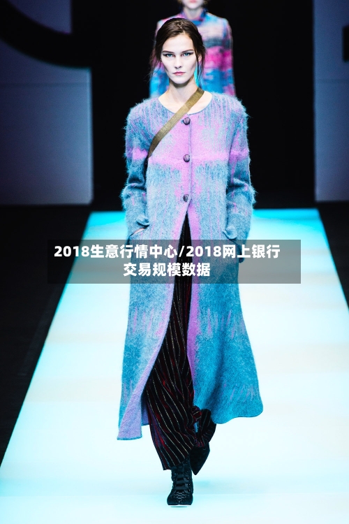 2018生意行情中心/2018网上银行交易规模数据