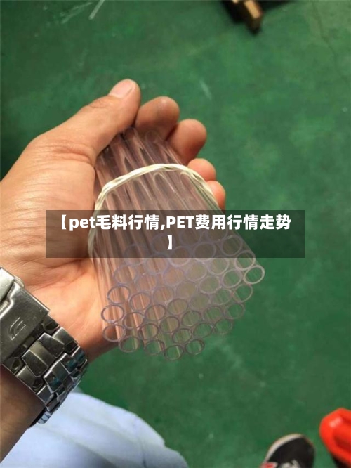 【pet毛料行情,PET费用行情走势】-第2张图片