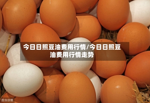 今日日照豆油费用行情/今日日照豆油费用行情走势