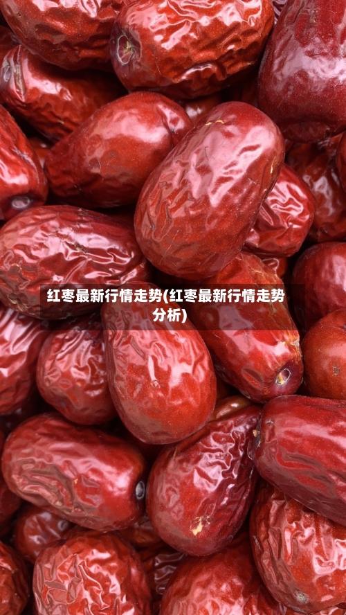 红枣最新行情走势(红枣最新行情走势分析)-第2张图片
