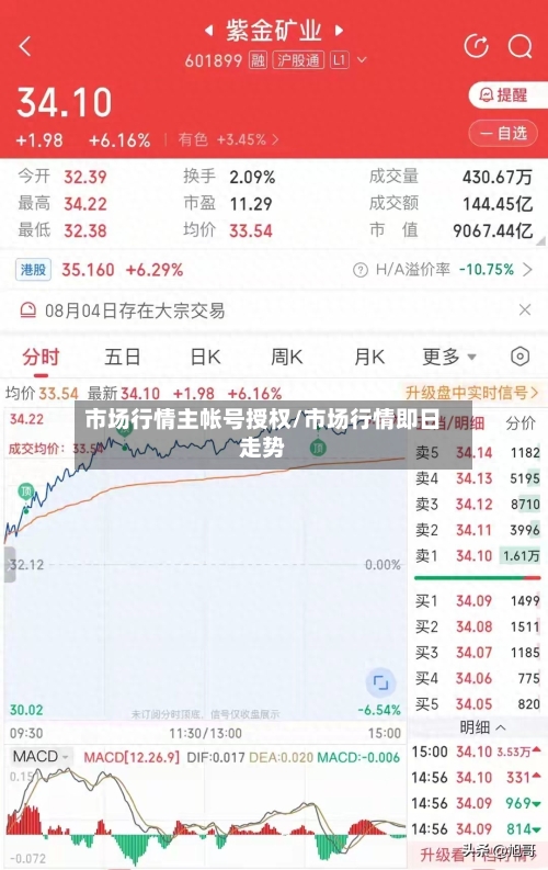 市场行情主帐号授权/市场行情即日走势-第2张图片