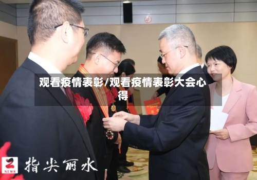 观看疫情表彰/观看疫情表彰大会心得