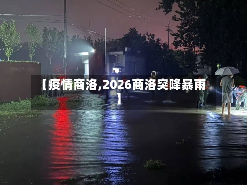 【疫情商洛,2026商洛突降暴雨】-第2张图片