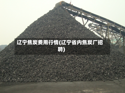 辽宁焦炭费用行情(辽宁省内焦炭厂招聘)