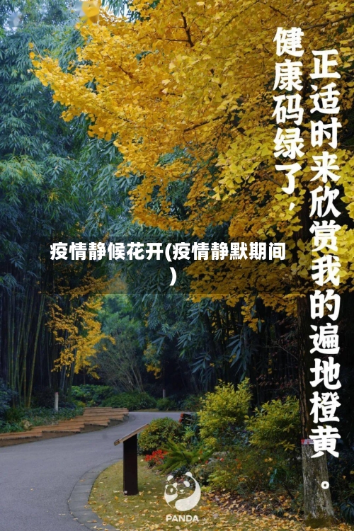 疫情静候花开(疫情静默期间)