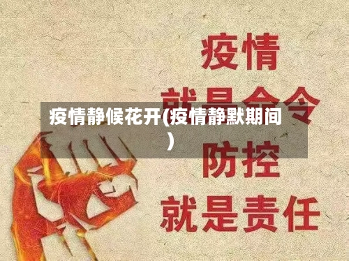 疫情静候花开(疫情静默期间)-第2张图片