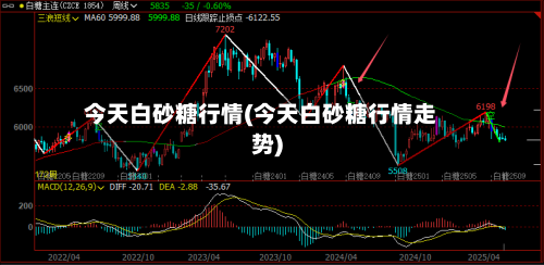 今天白砂糖行情(今天白砂糖行情走势)
