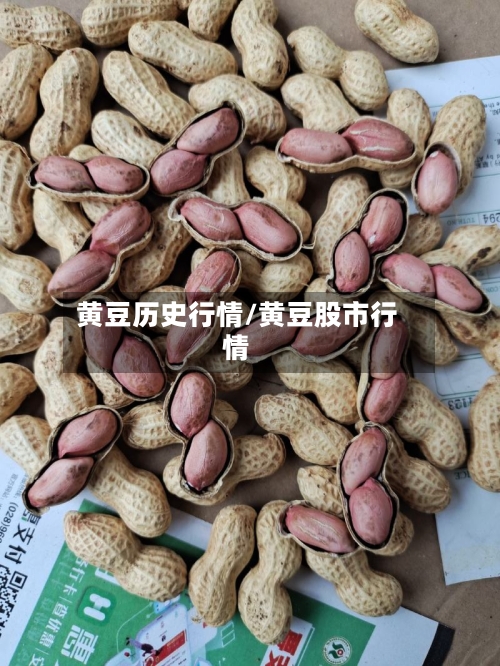 黄豆历史行情/黄豆股市行情