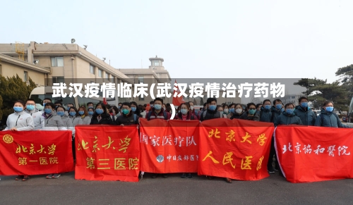 武汉疫情临床(武汉疫情治疗药物)