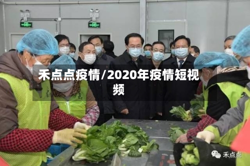 禾点点疫情/2020年疫情短视频