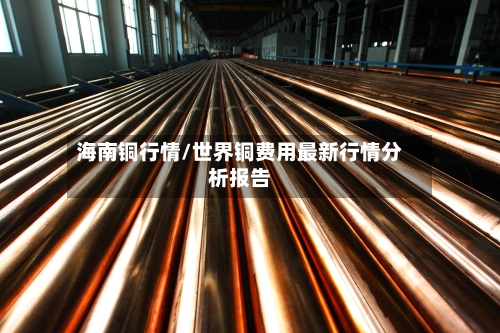 海南铜行情/世界铜费用最新行情分析报告-第2张图片