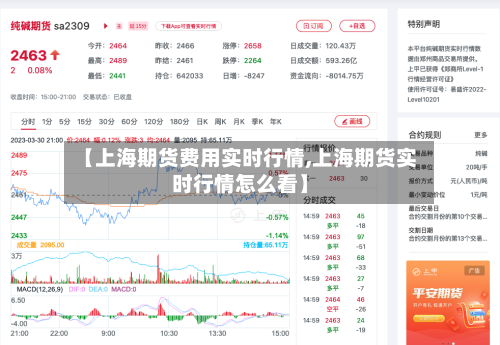 【上海期货费用实时行情,上海期货实时行情怎么看】