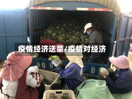 疫情经济送菜/疫情对经济