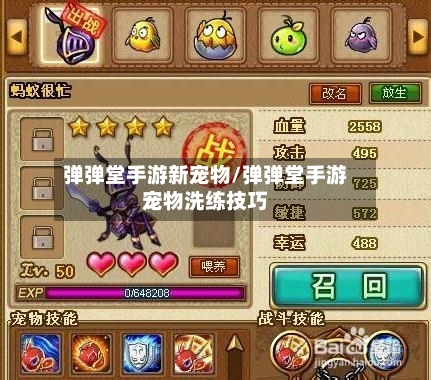 弹弹堂手游新宠物/弹弹堂手游宠物洗练技巧