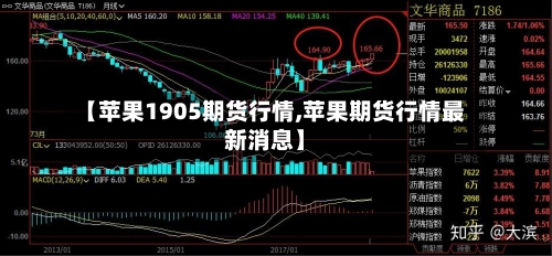 【苹果1905期货行情,苹果期货行情最新消息】-第3张图片