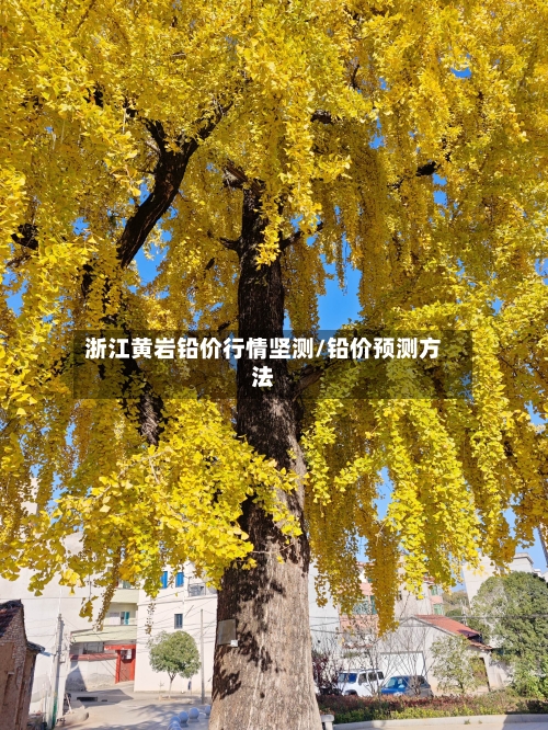 浙江黄岩铅价行情坚测/铅价预测方法-第3张图片
