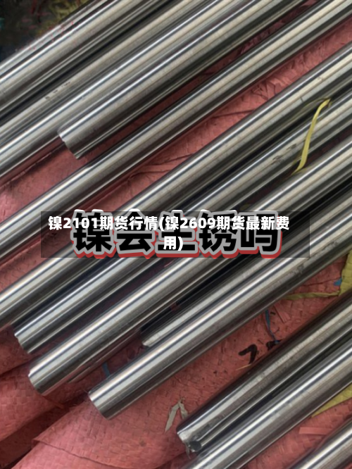 镍2101期货行情(镍2609期货最新费用)-第2张图片