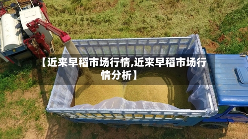 【近来早稻市场行情,近来早稻市场行情分析】-第2张图片