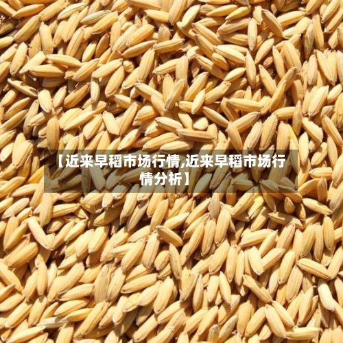 【近来早稻市场行情,近来早稻市场行情分析】