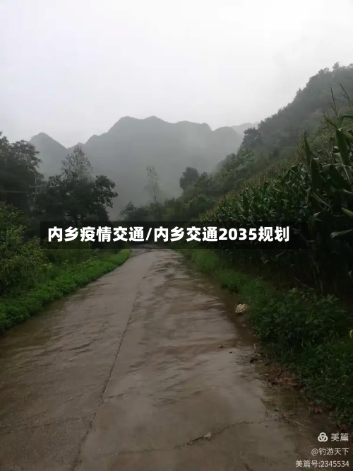 内乡疫情交通/内乡交通2035规划