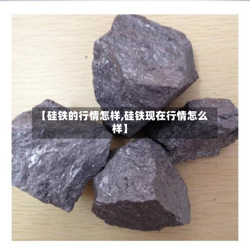 【硅铁的行情怎样,硅铁现在行情怎么样】-第2张图片
