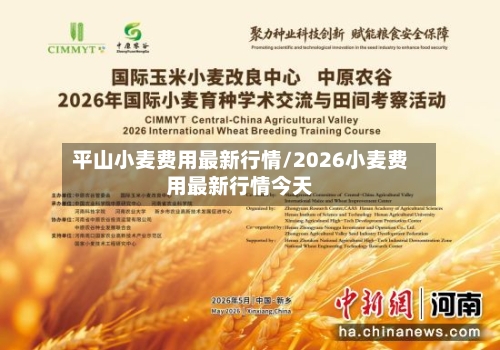 平山小麦费用最新行情/2026小麦费用最新行情今天