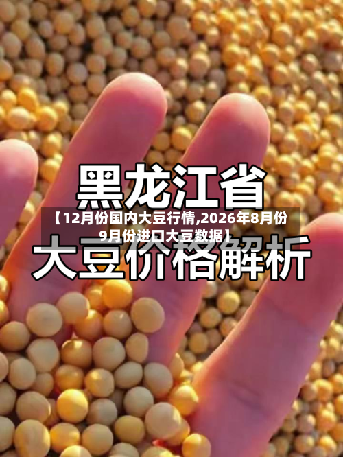 【12月份国内大豆行情,2026年8月份9月份进口大豆数据】-第2张图片