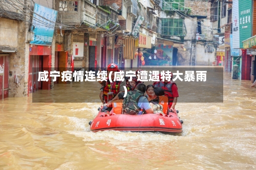 咸宁疫情连续(咸宁遭遇特大暴雨)-第3张图片