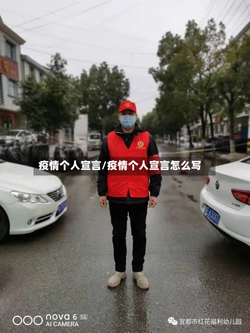 疫情个人宣言/疫情个人宣言怎么写-第2张图片