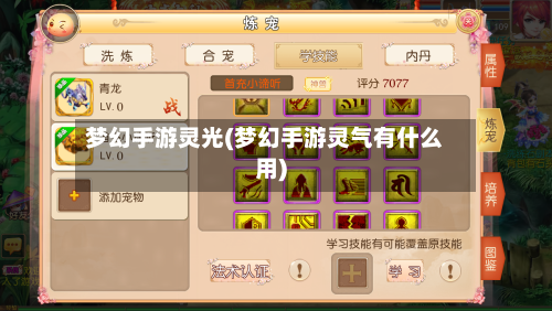 梦幻手游灵光(梦幻手游灵气有什么用)