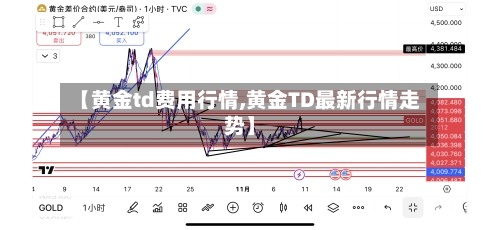 【黄金td费用行情,黄金TD最新行情走势】