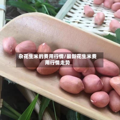 杂花生米的费用行情/最新花生米费用行情走势-第3张图片