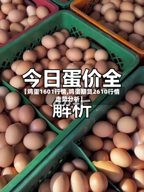 【鸡蛋1601行情,鸡蛋期货2610行情走势分析】