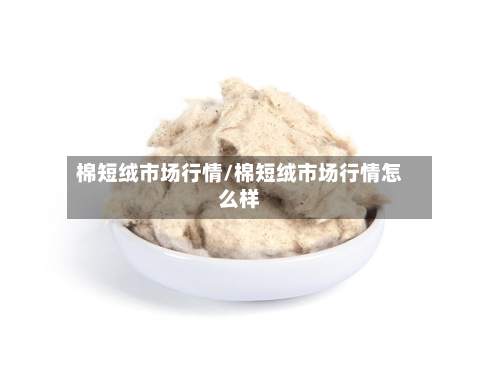 棉短绒市场行情/棉短绒市场行情怎么样