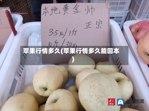 苹果行情多久(苹果行情多久能回本)-第2张图片