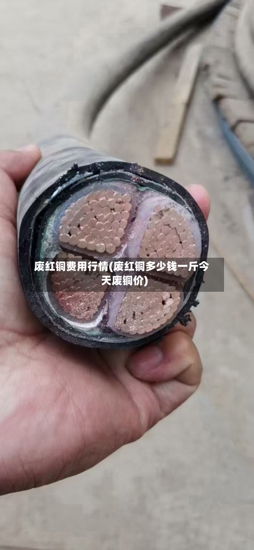 废红铜费用行情(废红铜多少钱一斤今天废铜价)