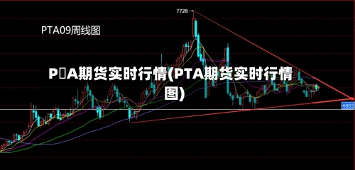 P丅A期货实时行情(PTA期货实时行情图)