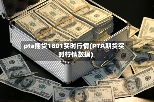 pta期货1801实时行情(PTA期货实时行情数据)-第3张图片